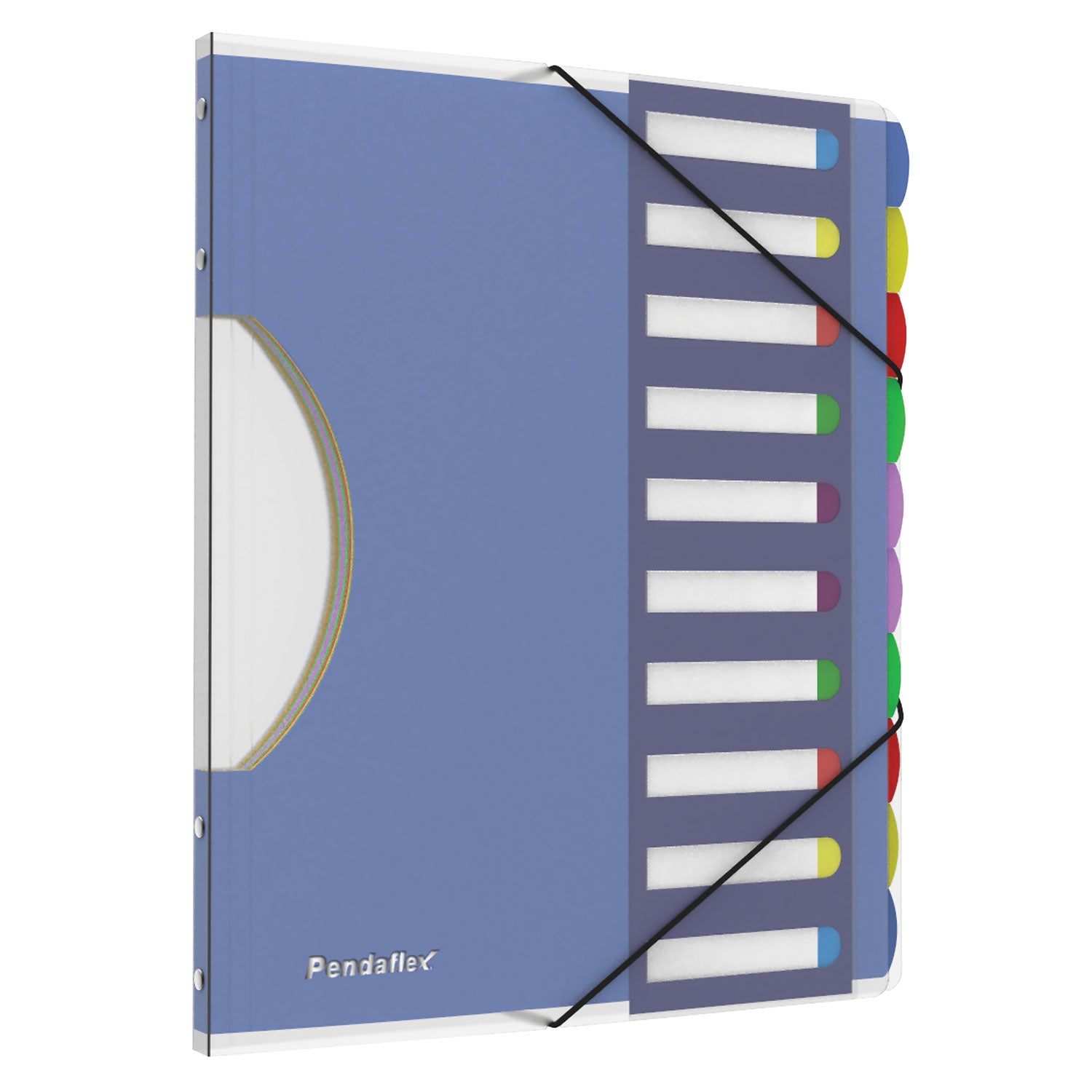 10 x Divider(s) - 10 Tab(s) - 8.5" Divider Width x 11" Divider Length - Letter - Multicolor Divider - Elastic Closure, Moisture Resistant - 1 Each