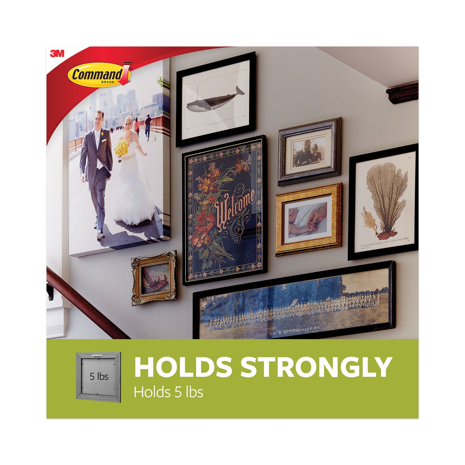 Universal Picture Hanger, Large, Silver, 5 Lb Capacity, 1 Hanger And 4 Strips