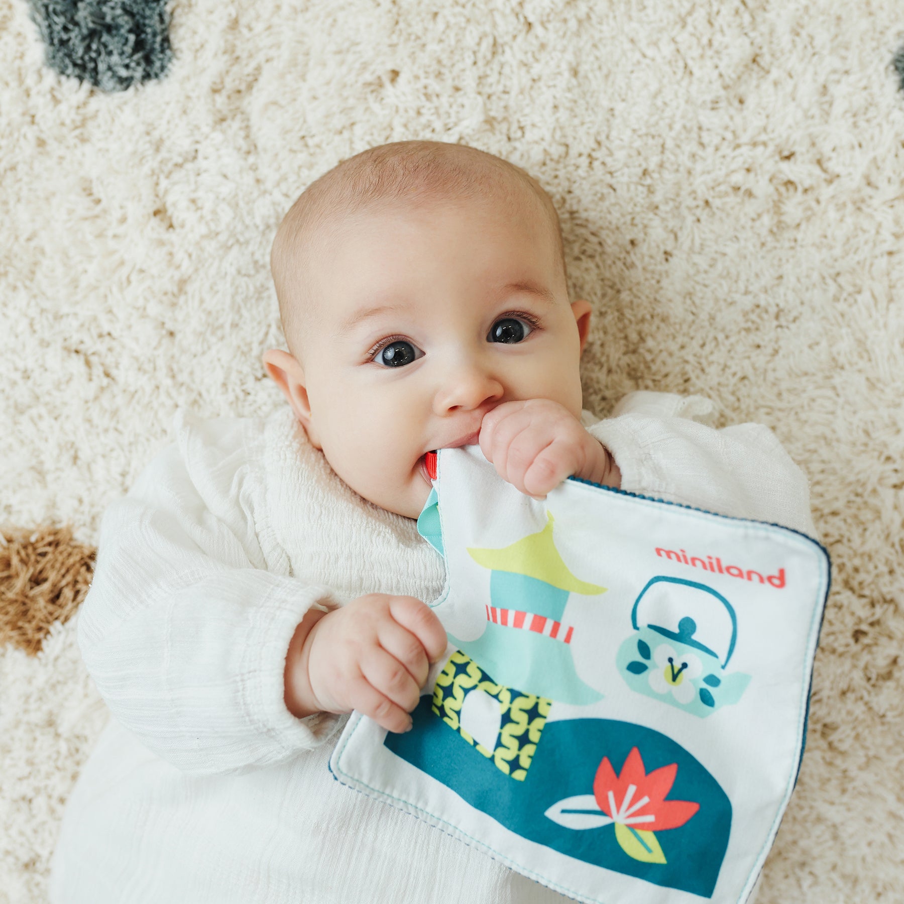 Feel to Learn: Crinkly Sensory Paper, Sea Lion