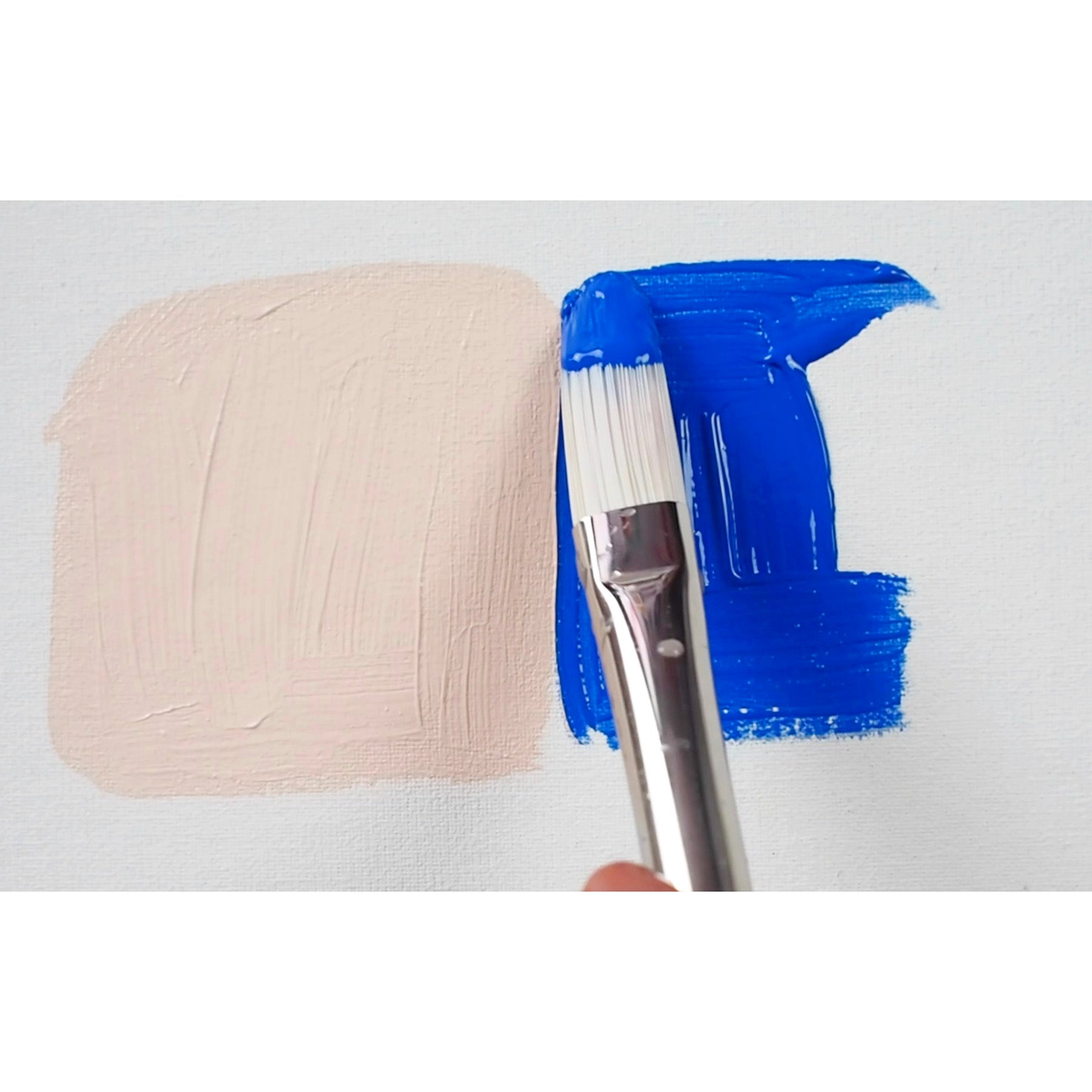 Bristlon Liner Brush Set, 5 Brushes