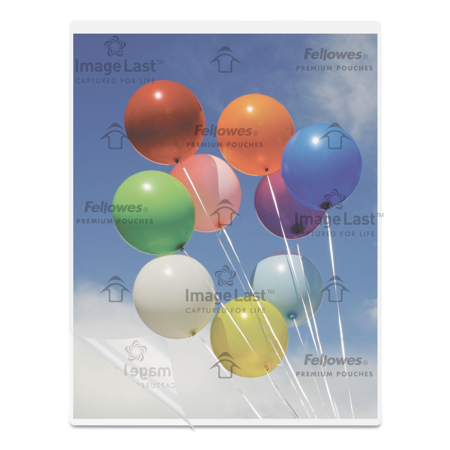 Fellowes ImageLast Jam-Free Thermal Laminating Pouches, Letter Size 9" x 11.5", 3 mil Thickness, Clear, 1 Pack