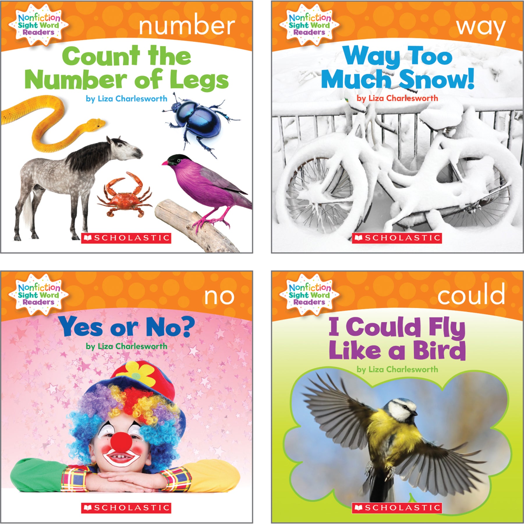 Nonfiction Sight Word Readers Classroom Tub, Level D, 6 Copies of 25 Titles