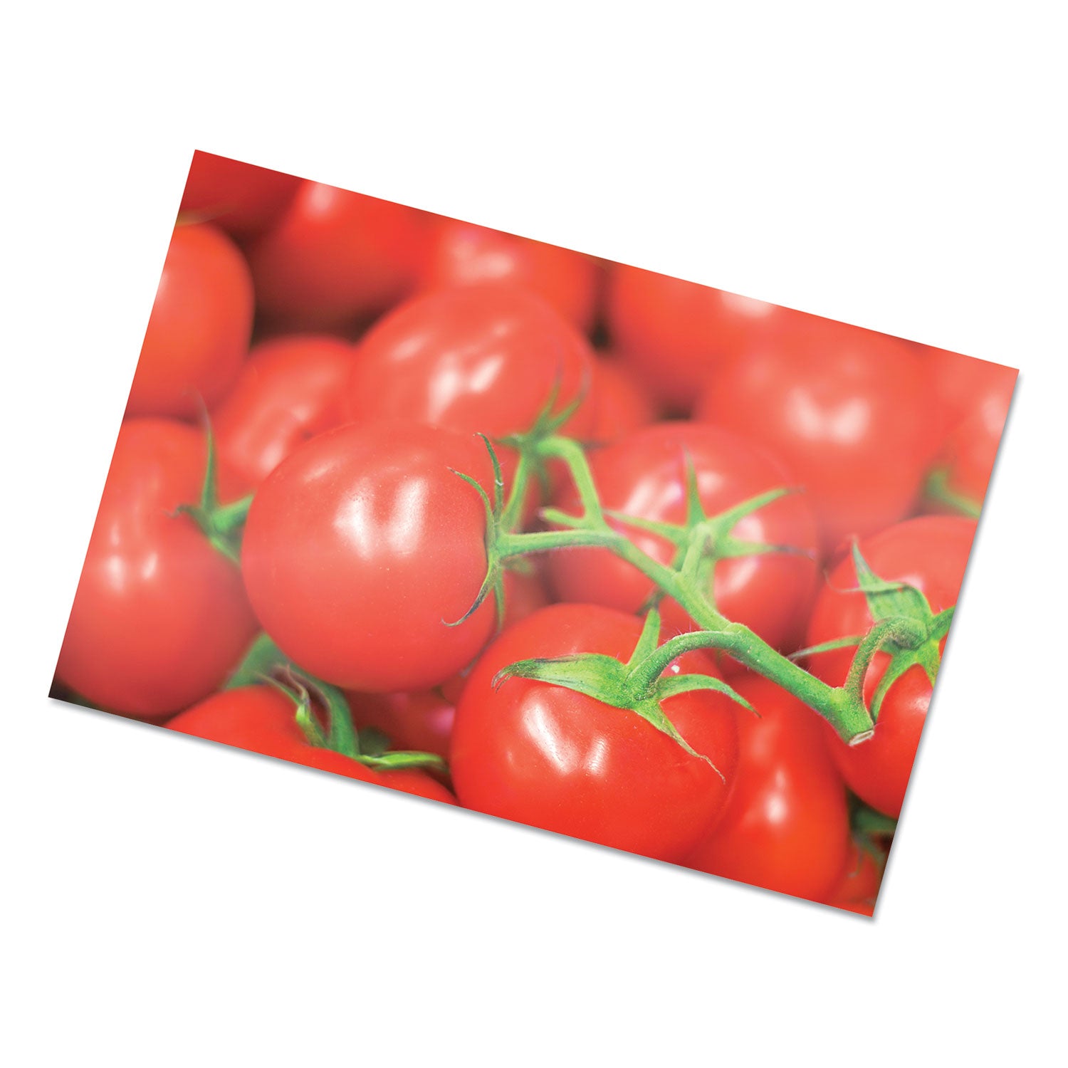 Fellowes Photo Card Glossy Thermal Laminating Pouches - Sheet Size Supported: Photo-size - Laminating Pouch/Sheet Size: 6.25" Width x 5 mil Thickness - Type G - Glossy - for Document, Photo - Durable - Clear - 1 Pack