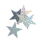 Hearts & Stars - Cardstock, Holographic, 10 ct., 6" Silver Stars, Asst'd Designs