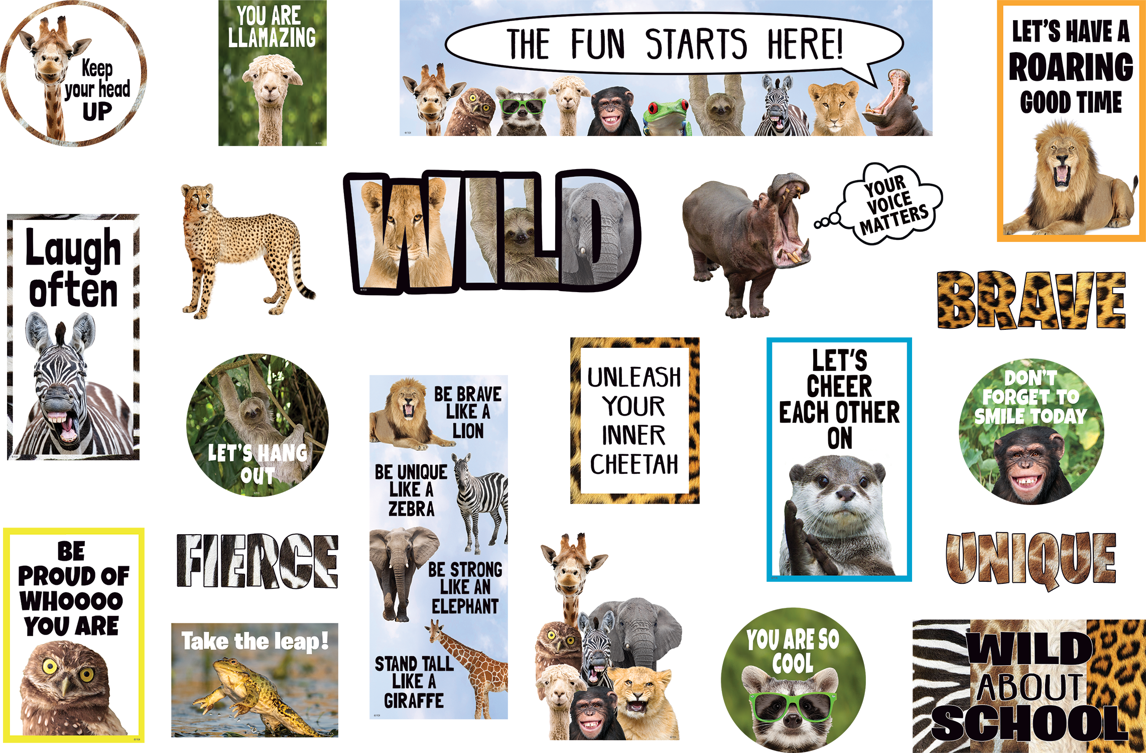 Go Wild Animals Mini Bulletin Board