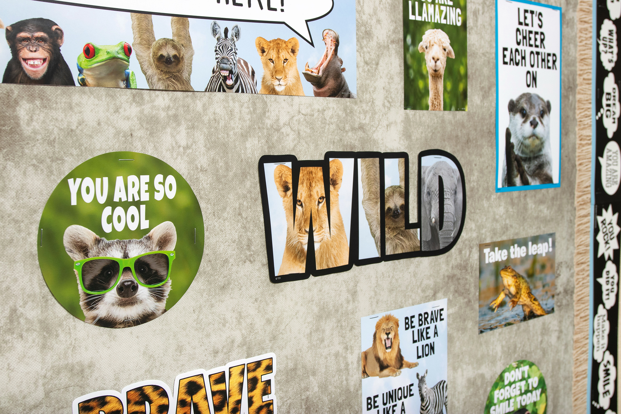 Go Wild Animals Mini Bulletin Board