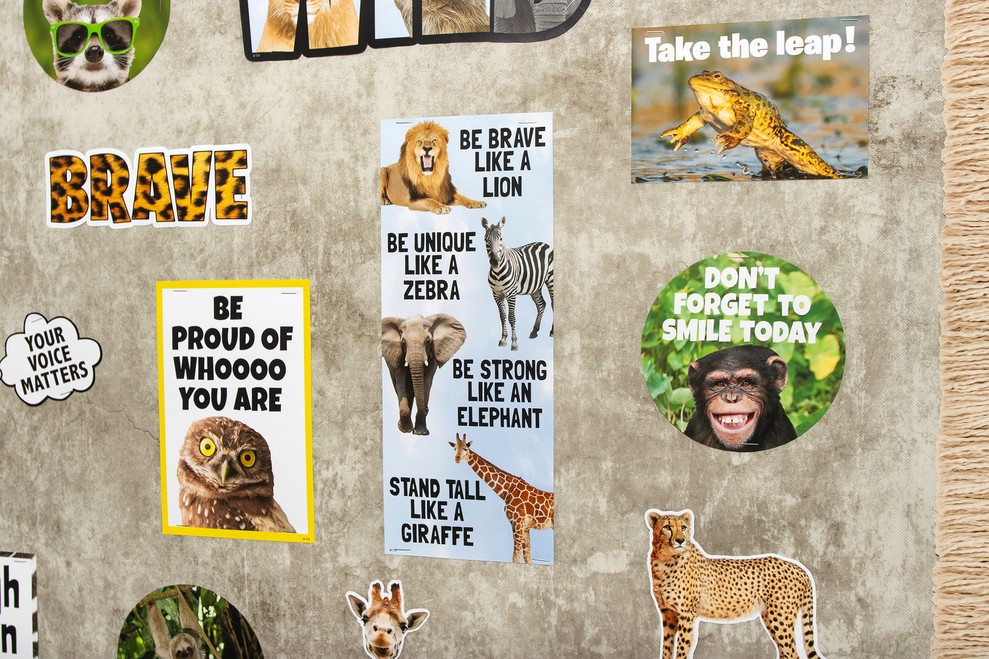 Go Wild Animals Mini Bulletin Board