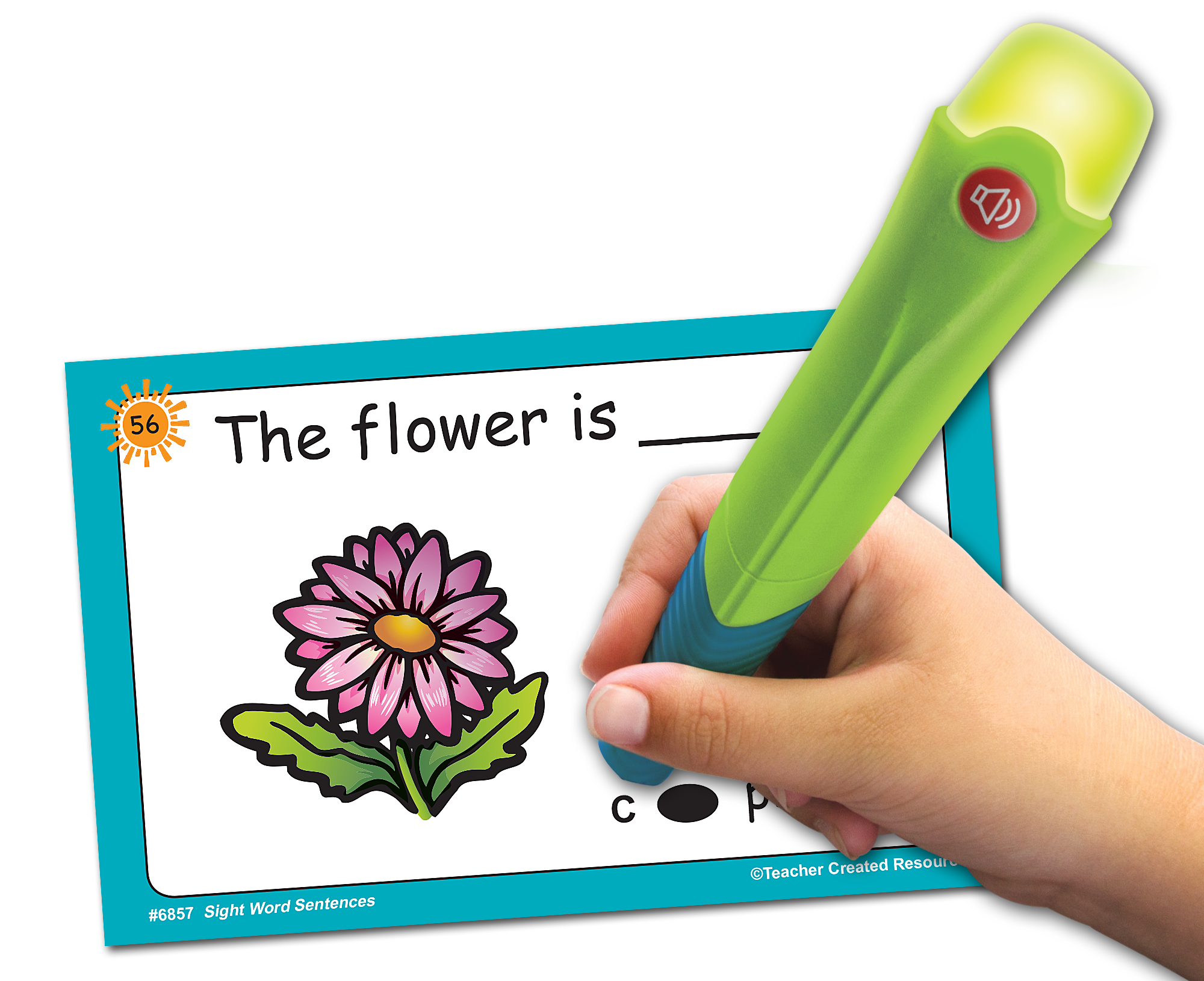 Power Pen® Learning Cards: Sight Word Sentences