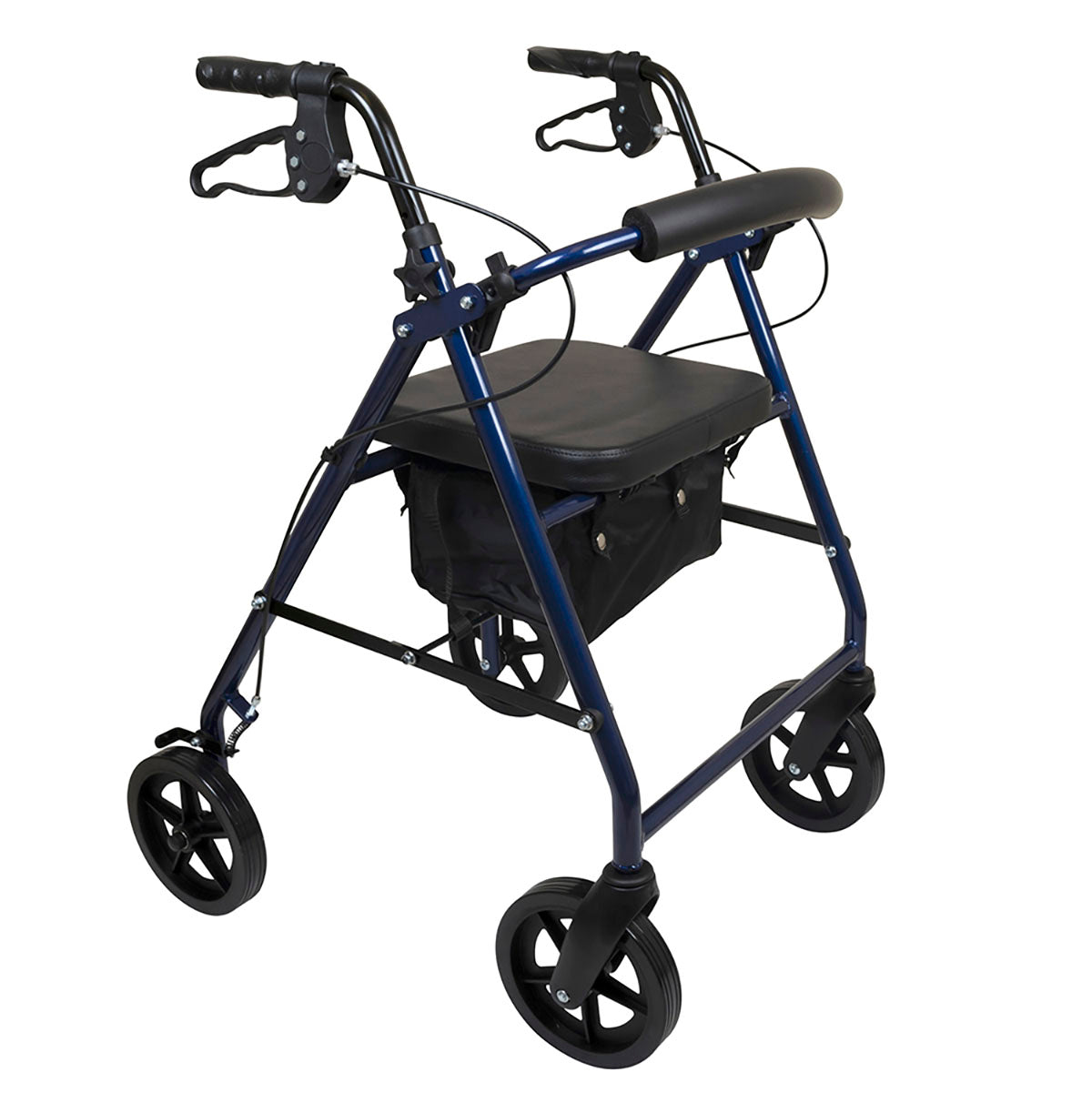 ProBasics Deluxe Aluminum Rollator with 8-inch Wheels, Blue