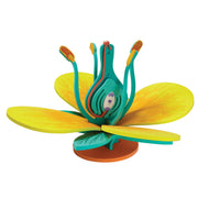 Model Plus: The Flower (FRENCH)