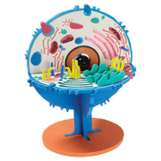 Model Plus: The Animal Cell (FRENCH)