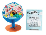 Model Plus: The Animal Cell