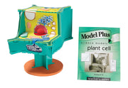 Model Plus: The Plant Cell