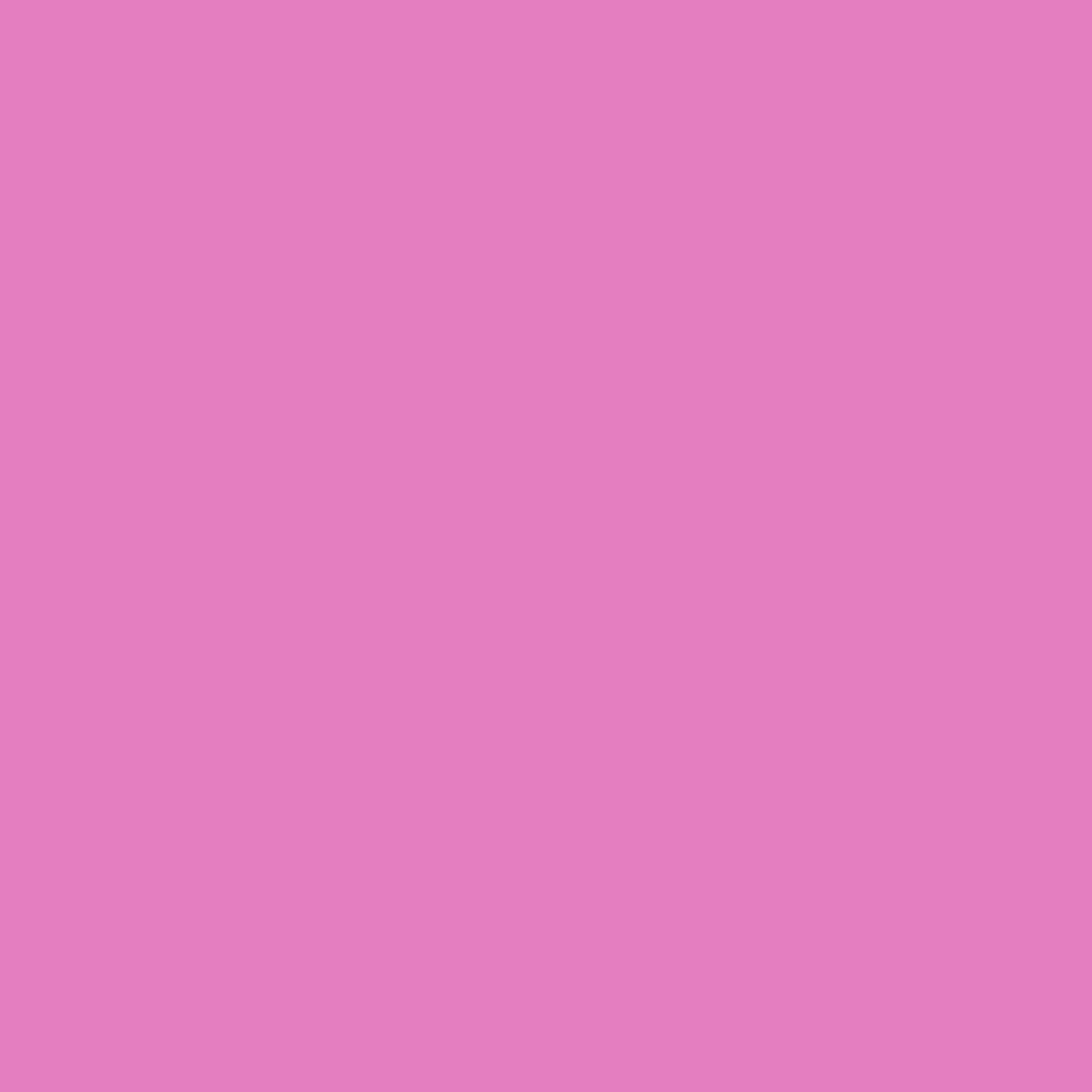Acrylic Paint Matte, 16oz., Fuchsia