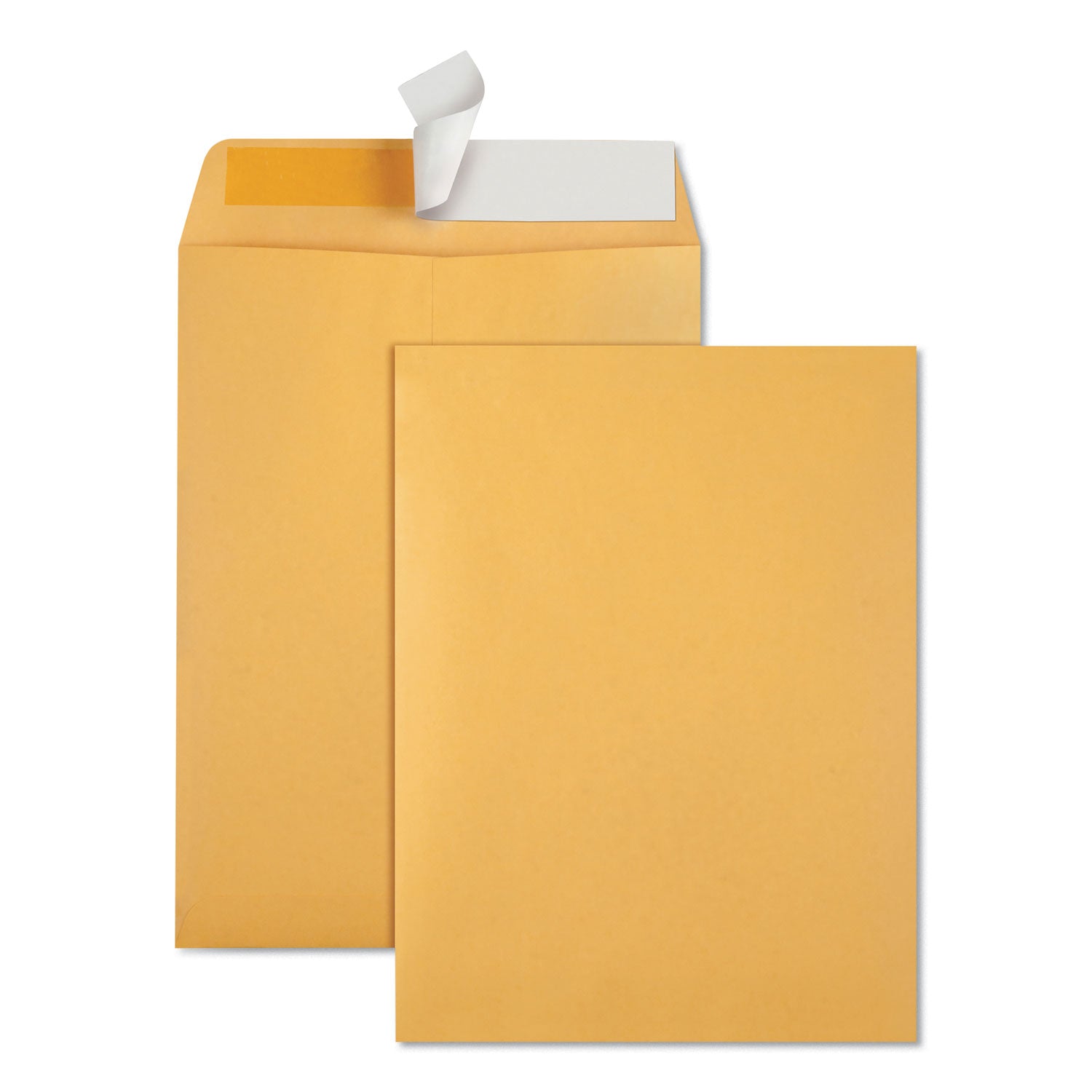 Quality Park 9 x 12 Catalog Envelopes with Redi-Strip&reg; Closure - Catalog - #10 1/2 - 9" Width x 12" Length - 28 lb - Self-sealing - Kraft - Kraft - 100 / Box