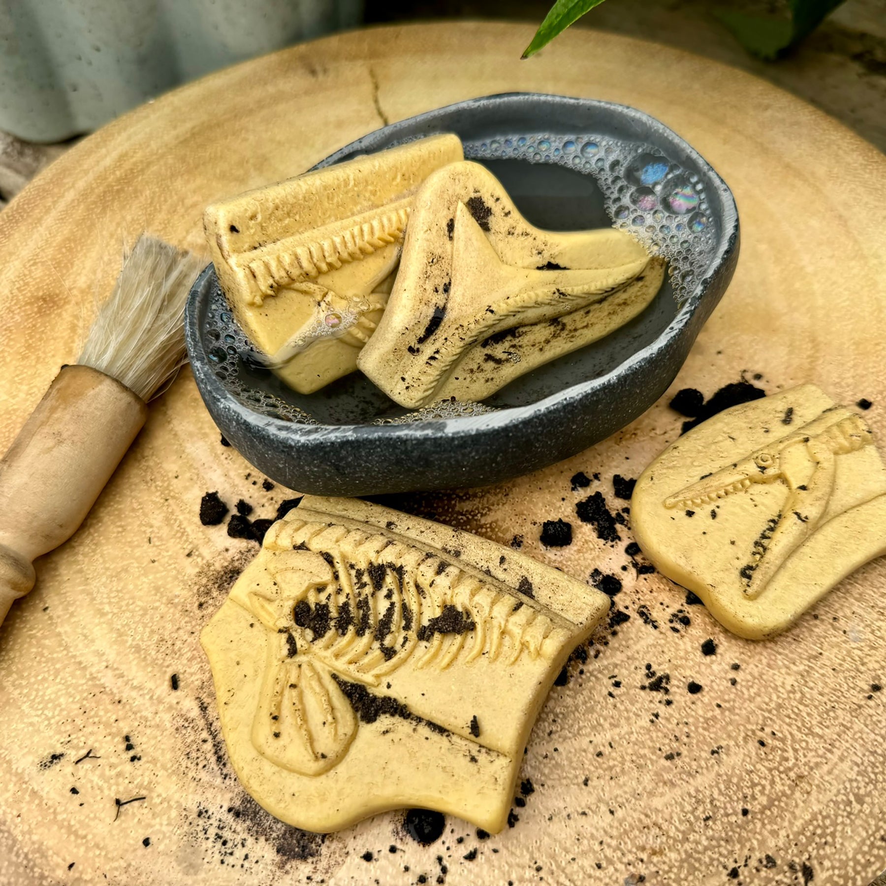 Dig and Discover - Pliosaur & Stegosaurus