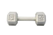 15 LB Cast Iron Hex Dumbbell
