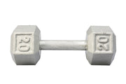 20 LB Cast Iron Hex Dumbbell