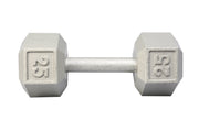 25 LB Cast Iron Hex Dumbbell