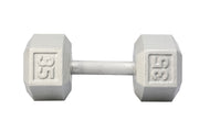 35 LB Cast Iron Hex Dumbbell