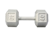 40 LB Cast Iron Hex Dumbbell