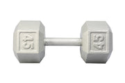 45 LB Cast Iron Hex Dumbbell