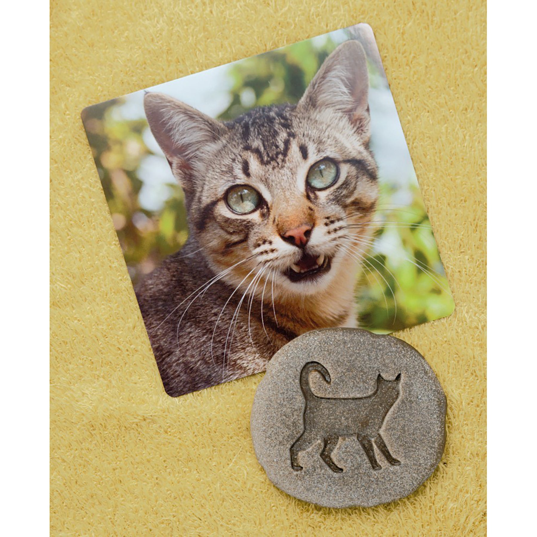 Let's Investigate Farmyard Footprints Stone, Pack of 8
