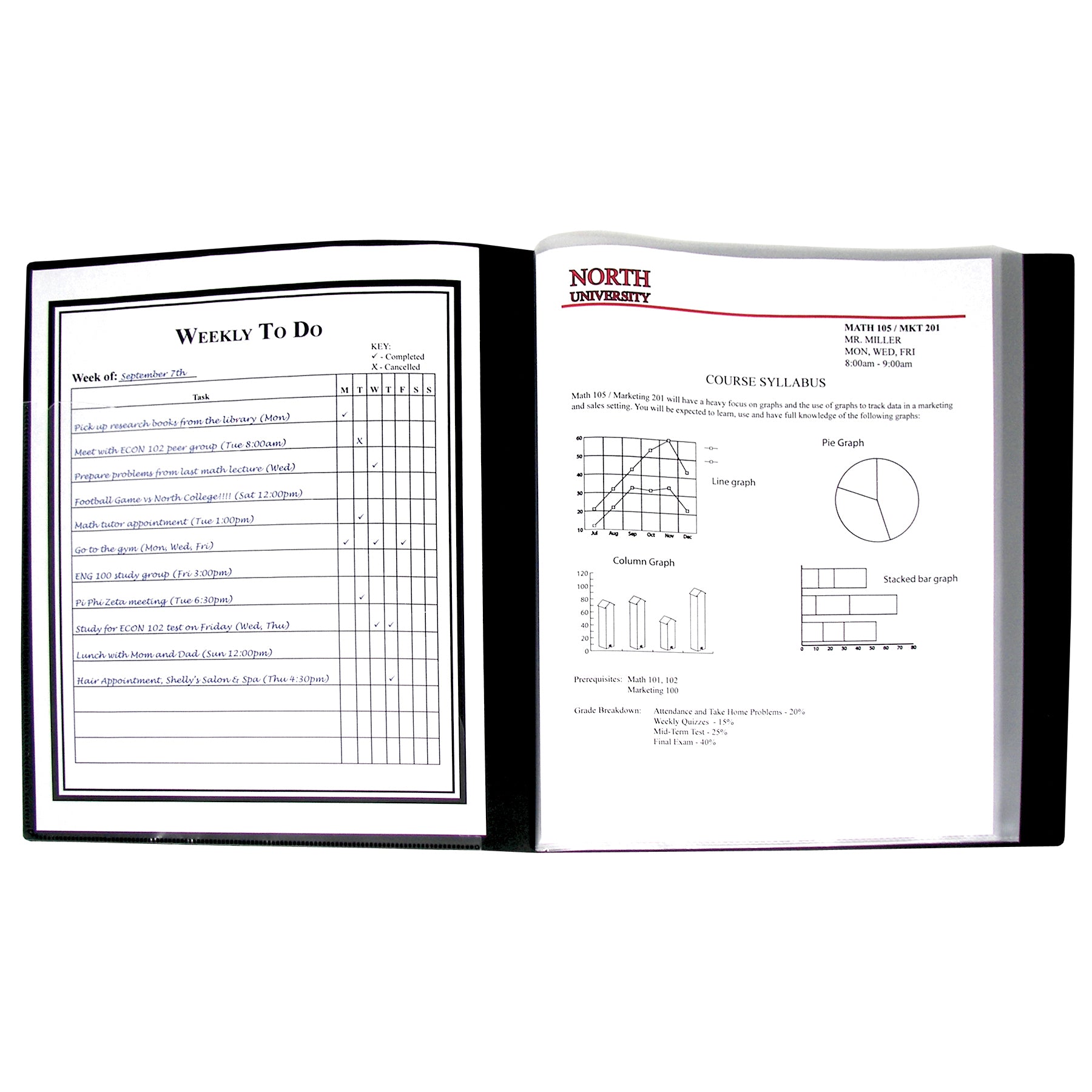 Bound Sheet Protector Presentation Book, 12-Pocket