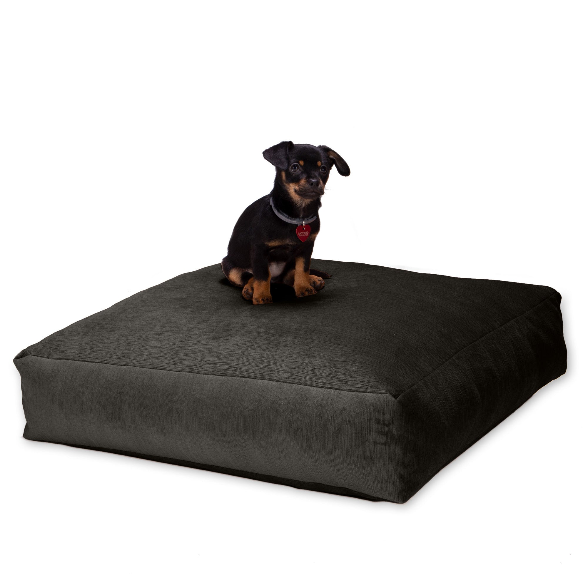 Jaxx Brio Large Décor Floor Pillow/Meditation Yoga Cushion, Plush Microvelvet, Charcoal
