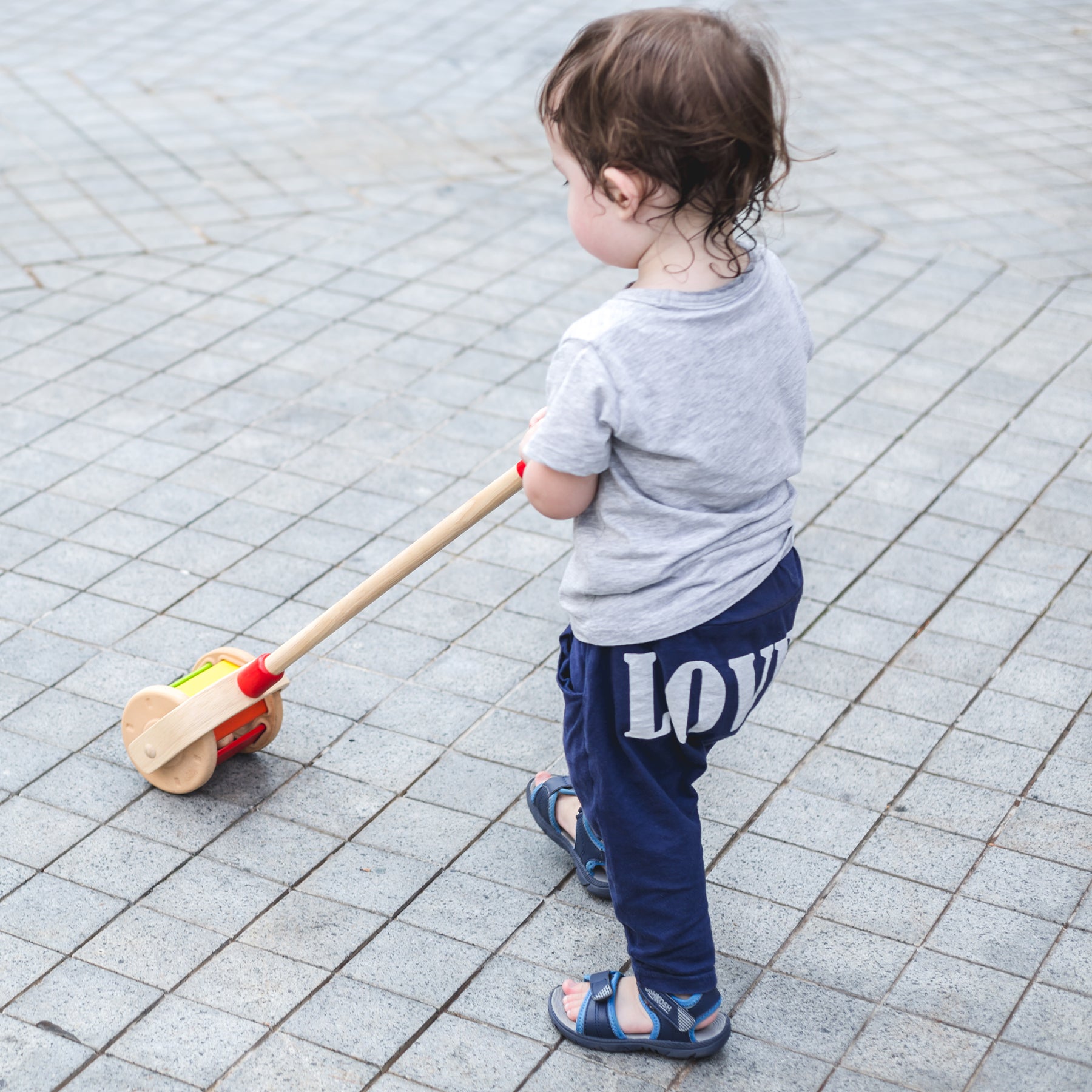 Walk N Roll Wooden Push & Pull Toy