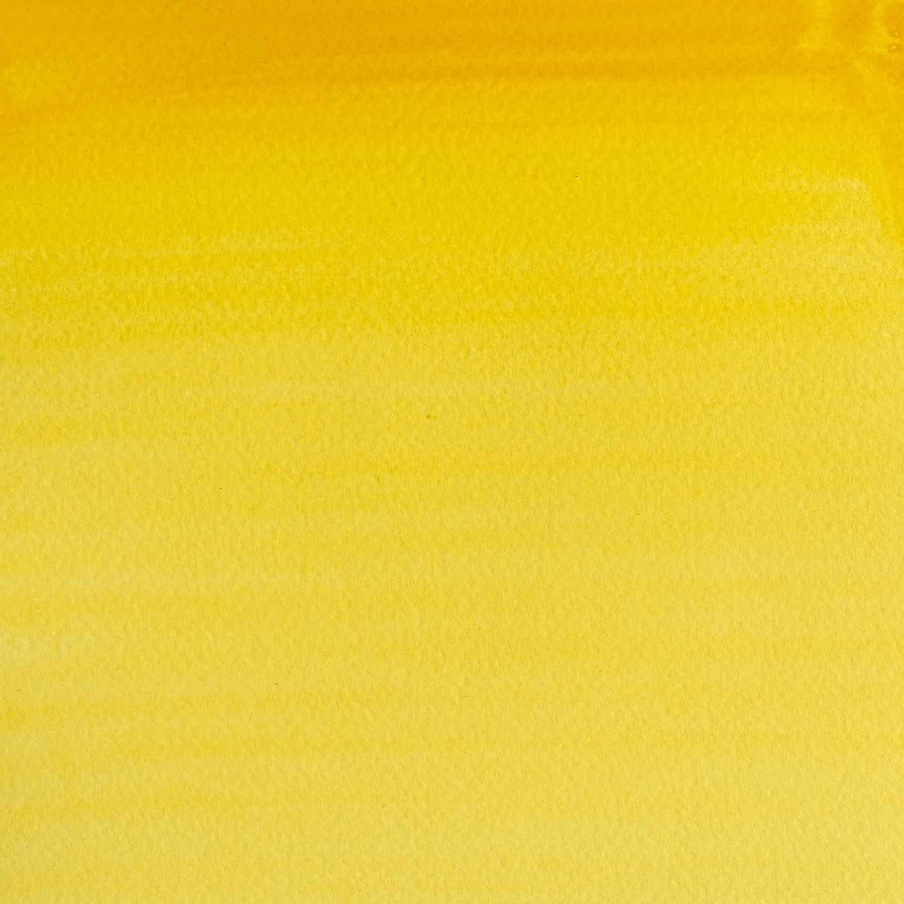 CWC Half Pan - Cadmium Yellow Pale Hue