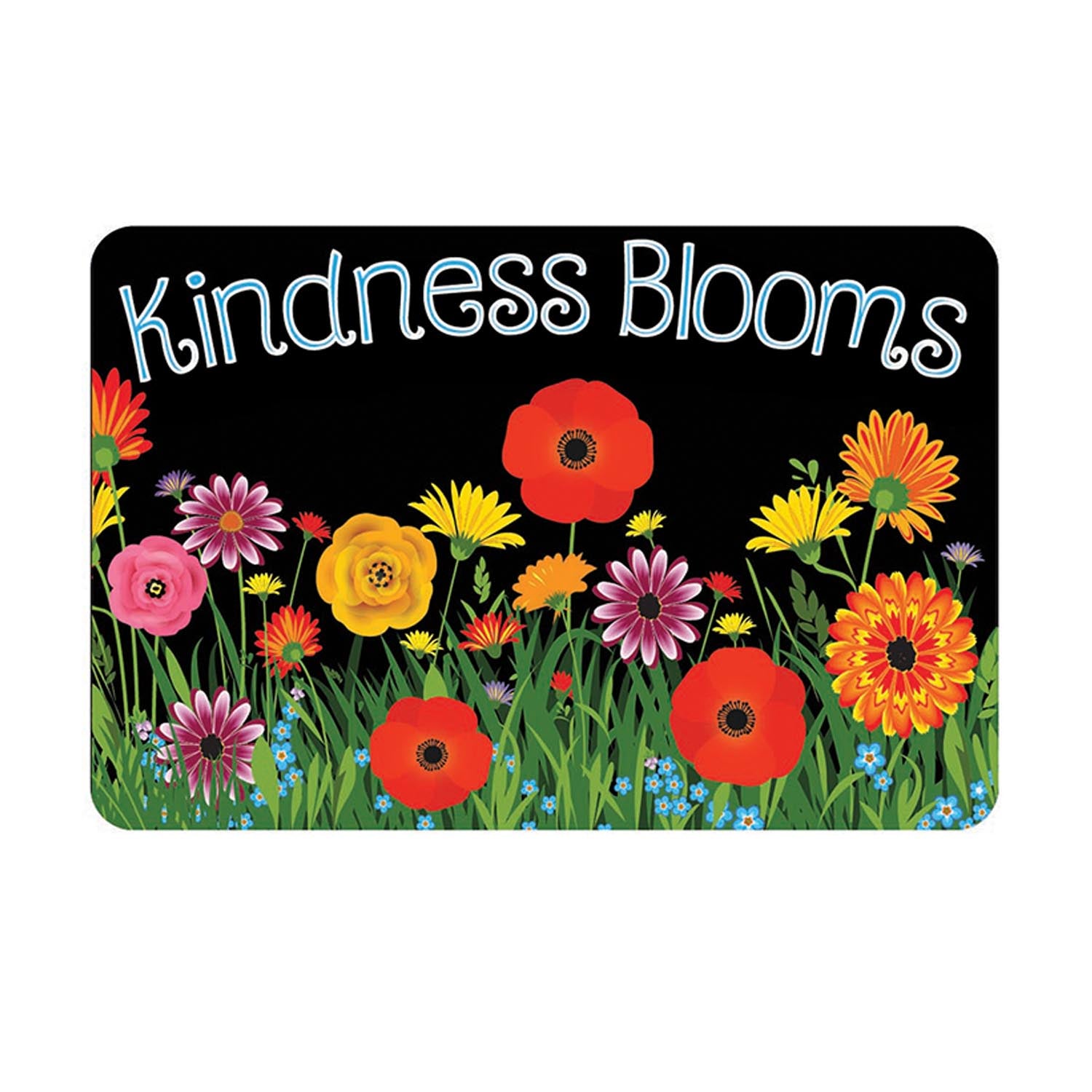 3CT MAGNET WHITEBORD ERASR KINDNESS