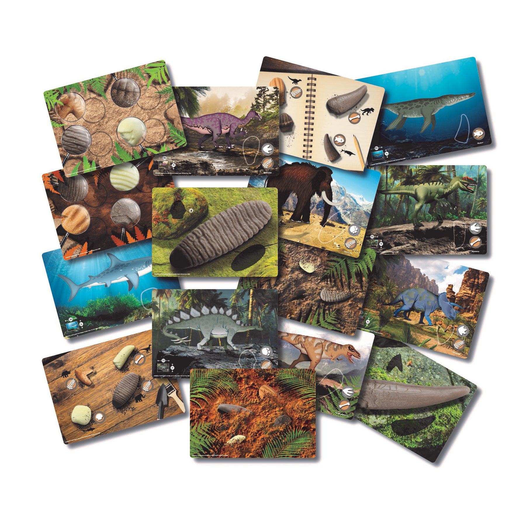 Prehistoric Teeth – Explore and Discover Activity Cards, Set of 16