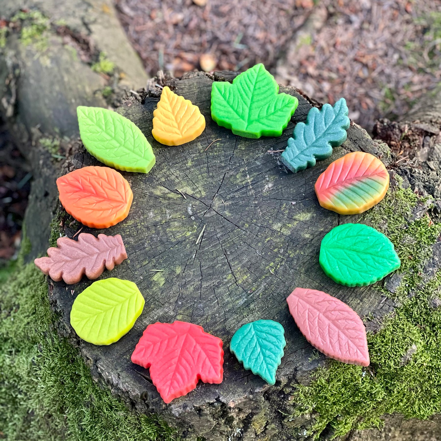Sensory Play Stones - Leaves - Set of 12