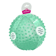 The Original Sensory Ball for Baby,  See-Me 7" Green - Transparent Vibrant Colorful and Unique Textured Ball for Baby