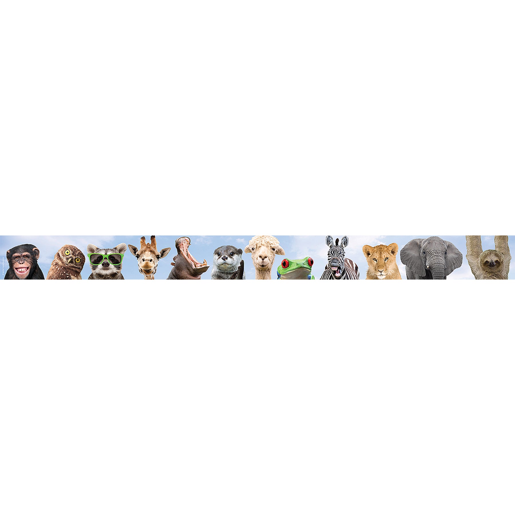 Go Wild Animals Straight Border Trim, 35 Feet