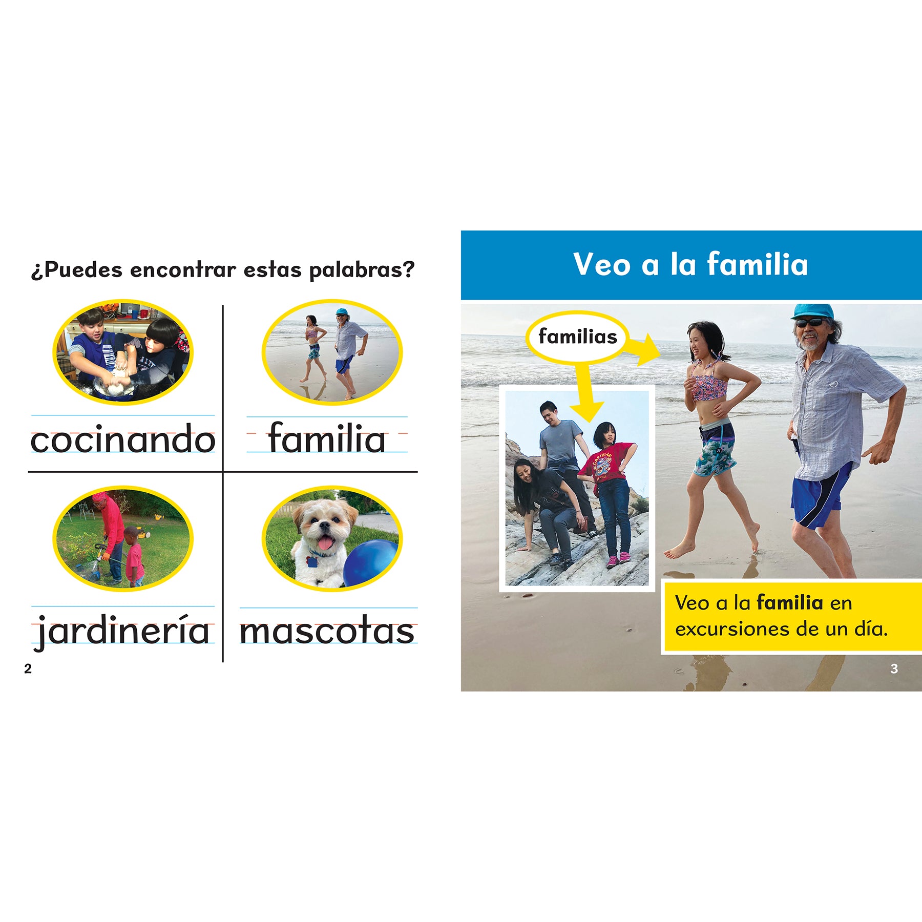Veo a la familia