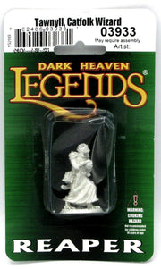 Dark Heaven Legends: Tawnyll, Catfolk Wizard