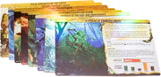 Greater Than Games | Spirit Island: Base Game - Foil Panels | Cooperative Strategy Board Game Accessory | Premium Component Upgrade