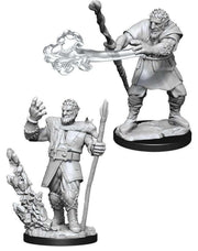 D&D: Nolzur's Marvelous Minis: Male Firbolg Druid W11 (Unpainted)