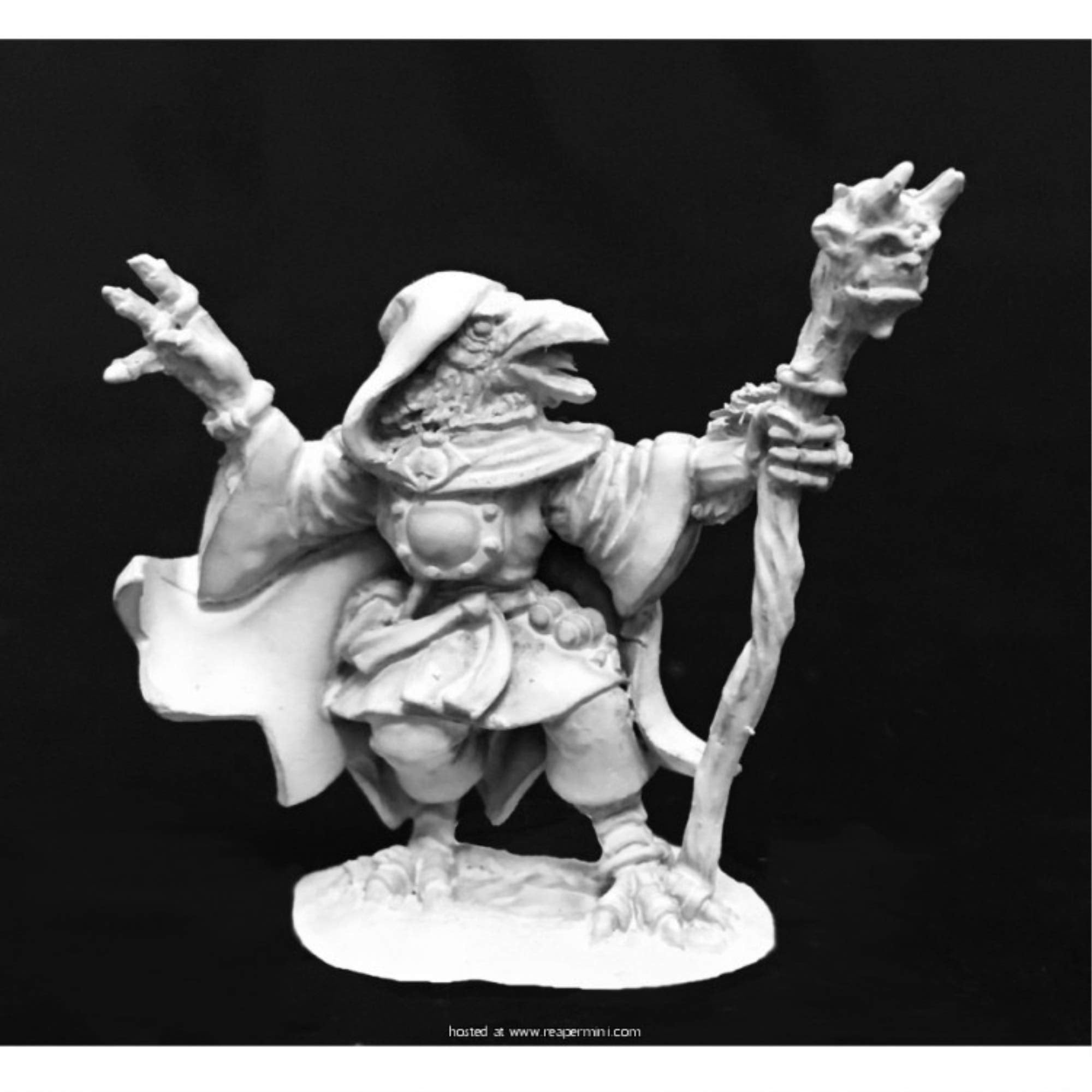 Dark Heaven Legends: Tengu Wizard