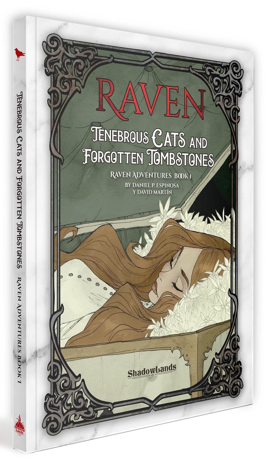 Raven: Adventures Book 1 - Tenebrous Cats and Forgotten Tombstones