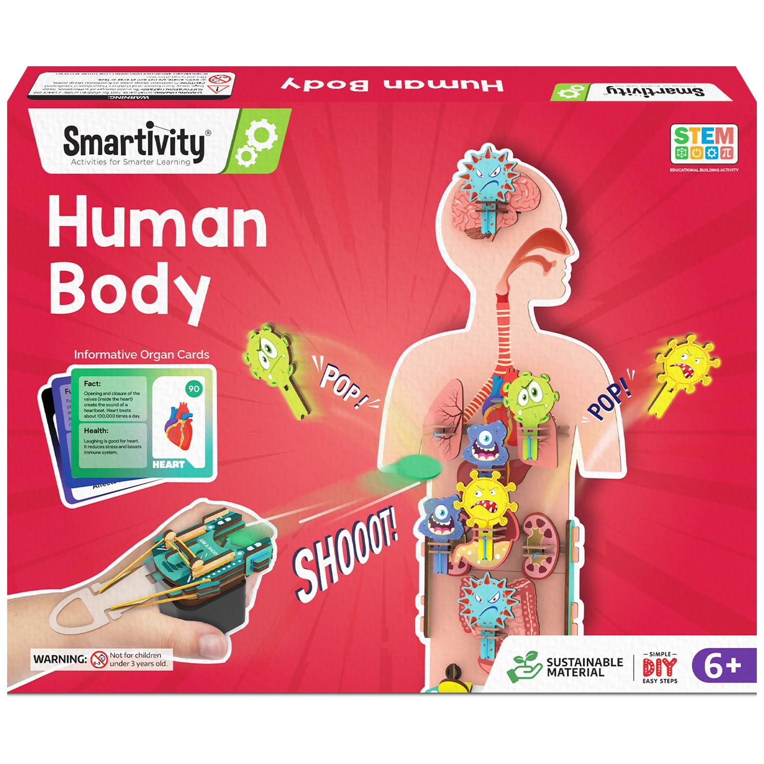 Smartivity Human Body Model for Kids 6 to 12 Years | Learn Body Organs, Functions with Fun Card Games | Christmas, Birthday Gift for Boys & Girls | DIY STEM Science Toys for Kids 6, 8, 10, 12 Years