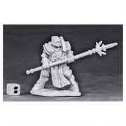 Bones: Mini - Reaper 77554 Crusader Defender (Warrior)