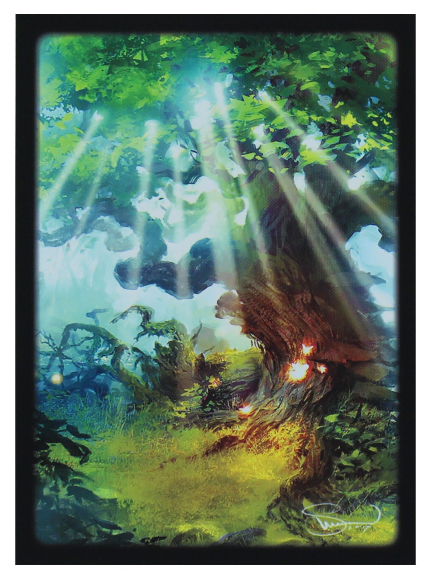 Deck Protector: Lands Forest (50)