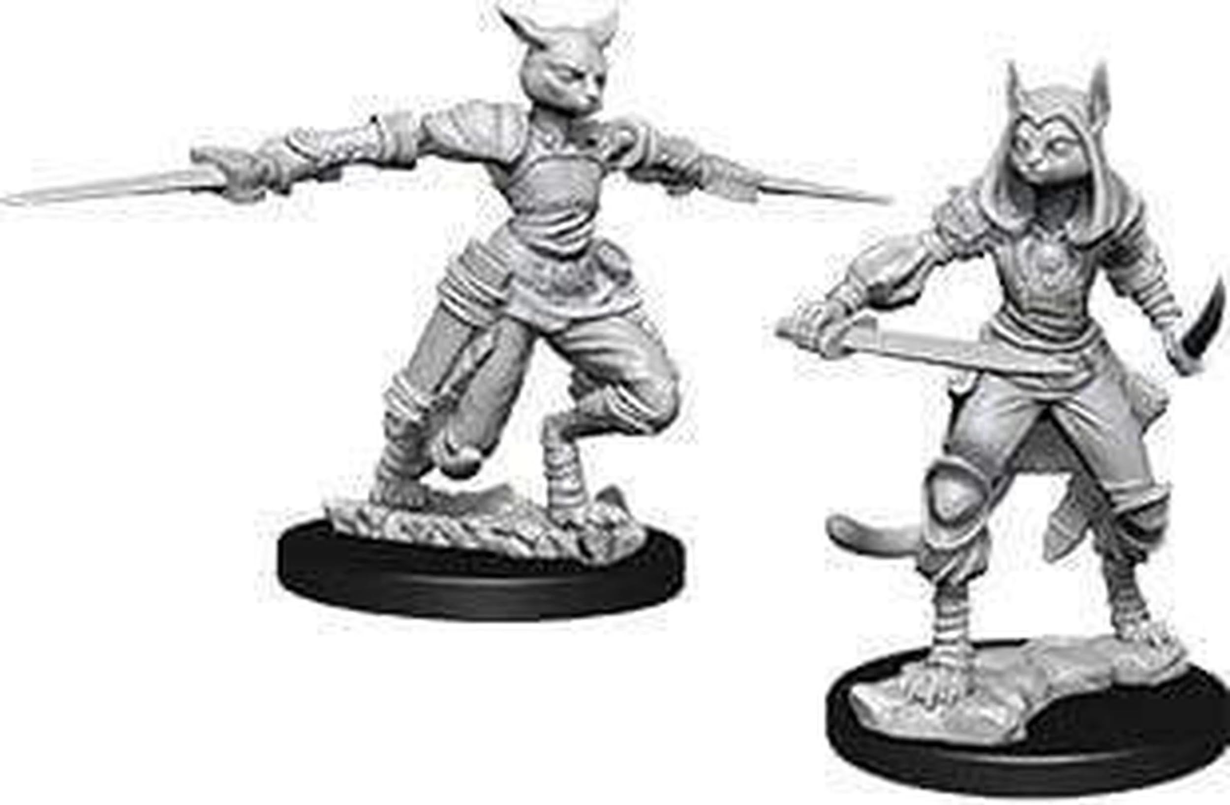 D&D Nolzurs Marvelous Unpainted Miniatures: Wave 9: Female Tabaxi Rogue