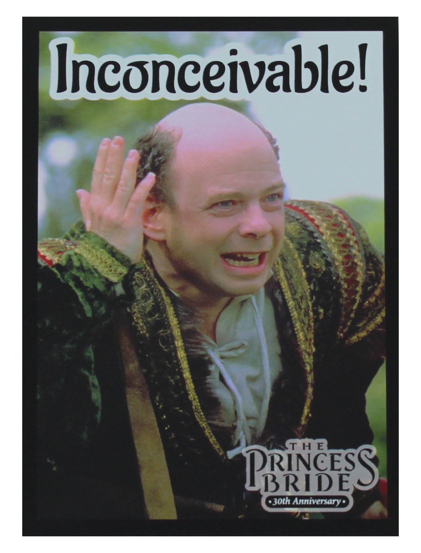 Legion Supplies: Princess Bride: Inconceivable (50) Clear Plastic PVC Sleeves, 50 Count, 67mm x 92mm, Classic Style