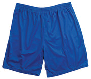 Mesh Shorts-Youth-Large-Royal