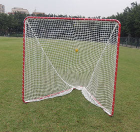Lacrosse Goal-Backyard