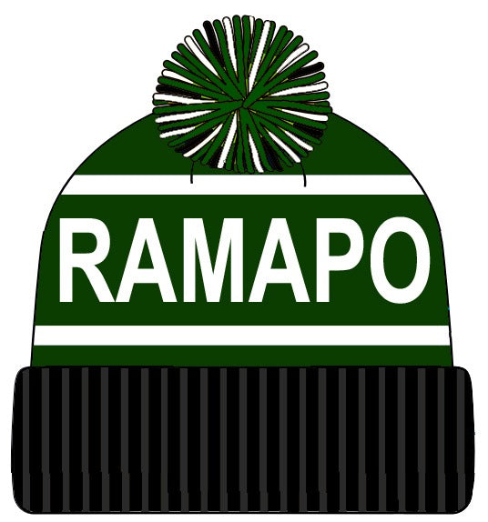 Custom Knit Hat -1 Logo